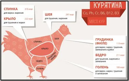 Főzni nyárs legrészletesebb útmutató