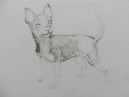 Hogyan kell felhívni a Chihuahua dog (ceruza művész Alex) Hogyan kell felhívni a Chihuahua kutya
