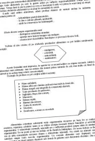 jelentés táplálkozásáról