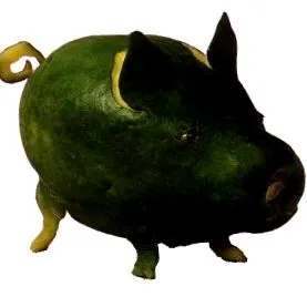 vonatkozó