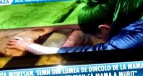 csicseriborsó csicseriborsó