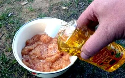 солење