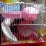 Hogyan készítsünk egy házat egy hörcsög a kezét, kókuszdió fa, dobozokat és a Lego (hörcsög) Hogyan készítsünk egy házat egy hörcsög a kezét, kókuszdió fa, dobozok és a Lego