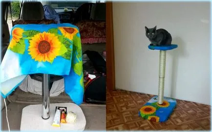 Hogyan készítsünk egy macska karcolás után a kezével (a macska) Hogyan készítsünk egy macska karcolás után saját kezűleg