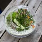 Hogyan florarium saját kezűleg (20 fotó) (florarium saját kezét) Hogyan florarium saját kezűleg (20 fotó)