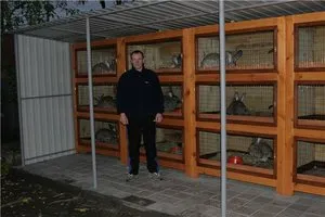 Hogyan készítsünk Rabbitry kezüket rajz és a cella áramkört nyulak
