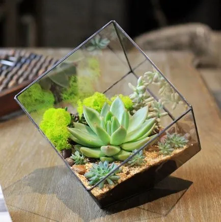 Hogyan florarium saját kezűleg (20 fotó) (fotók) Hogyan florarium saját kezűleg (20 fotó)