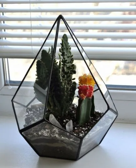 Hogyan florarium saját kezűleg (20 fotó) (florarium saját kezét) Hogyan florarium saját kezűleg (20 fotó)