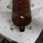 Hogyan készítsünk egy disznó műanyag palackok a kertben és a kert