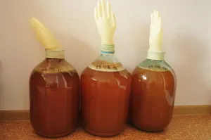 Hogyan készítsünk almabor recept otthon