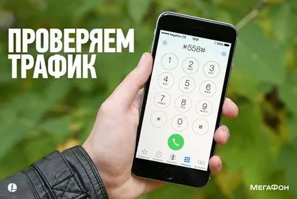 Hogyan változtassuk meg a számos módon egy hangosbeszélő, költségek (hangszóró) Hogyan kell megváltoztatni a számot megafon módon kerül