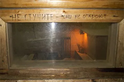 Hogyan válhat egy mókus 20 percig