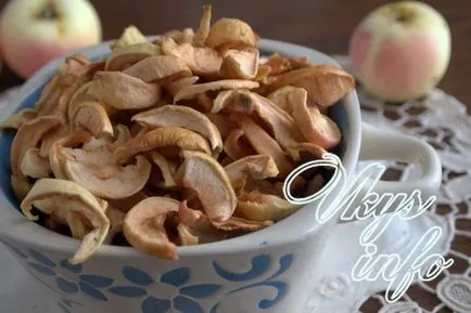 Hogyan száradni alma Villamos szárítók, a recept egy fotót