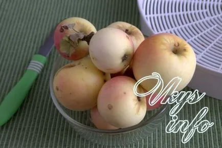 Hogyan száradni alma Villamos szárítók, a recept egy fotót