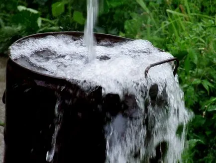 Hogyan megölni egy patkány fogott