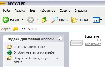 Hogyan lehet eltávolítani a vírust a bot - eltávolítja a vírust USB flash meghajtók és a memóriakártyákat