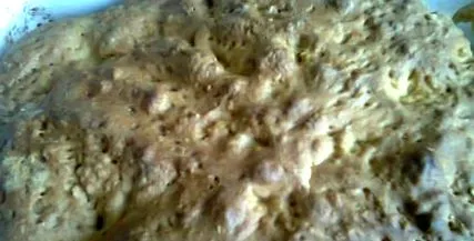 recept kovász