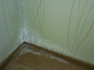 Hogyan szigeteljük a fal a sarokban a lakásban a panel házban