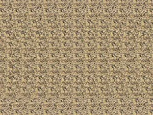 Hogyan látja a képet stereograms - virtuális és a valós élet