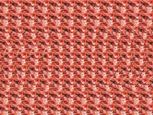 Hogyan látja a képet stereograms - virtuális és a valós élet