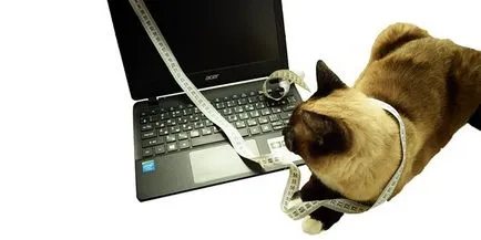 Hogyan tudja a méret a laptop képernyőjén (méret) Honnan tudom, hogy a laptop képernyő mérete