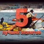 Hogyan kell kiválasztani, hogy és használja a szárítót a hal (hal) Hogyan kell kiválasztani, hogy és használja a szárítót a halak