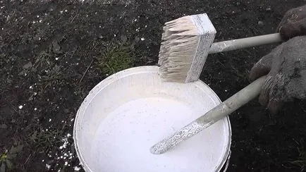 Hogyan működik a meszelés a fák tavasszal, a mix és számos hasznos tippek (tavasz) Hogyan működik a fogfehérítés a keverék összetételét a tavaszi fák és különböző hasznos tippeket
