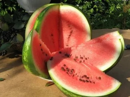 Úgy néz ki, mint egy görögdinnye (fotó), a honlap tippeket!