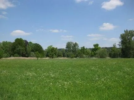 Hogyan válasszuk ki a telket és az irányelveknek (hogyan kell választani egy telket) Hogyan válasszuk ki a telket és az irányelveknek