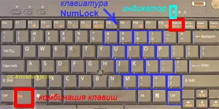 Hogyan kapcsolja be a laptop NumLock