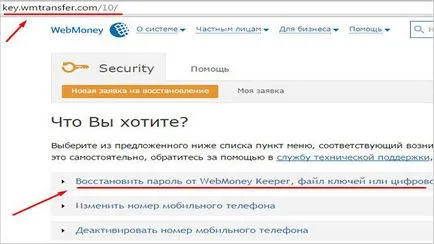 Hogyan lehet visszaállítani a pénztárca WebMoney gyorsan