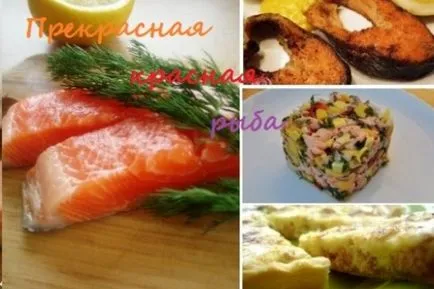 Hogyan finom főzni lazac - 5 fénykép-receptek minden alkalomra