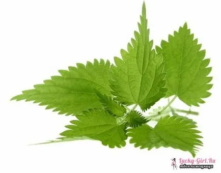 Hogyan levezetni shipitsu láb bevált módszerek (kijelző) Hogyan lehet megjeleníteni shipitsu gyalog bevált módszerek