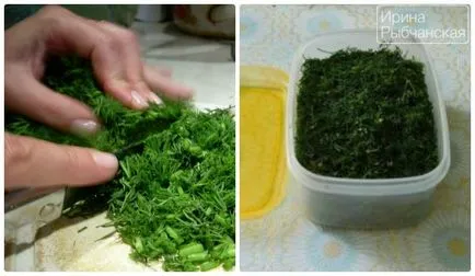 Hogyan befagyasztja a kapor téli a hűtőben - bevált módszerek (tél) Hogyan befagyasztja a kapor téli a hűtőben - a bevált módszerek