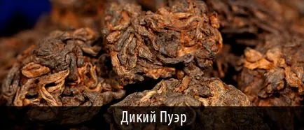 Sör Puer shen shu és sajtolás, tabletták és omlós - hogyan sör, video (sört) Sör Puer shen shu és sajtolás, tabletták és omlós - hogyan sör, video