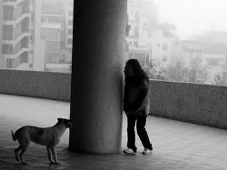 Kaninofobiya, cynophobia vagy (kutya fóbia) okok és a kezelés
