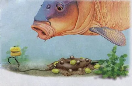 Carp kezelni saját kezűleg - szerelési fogaskerék ponty