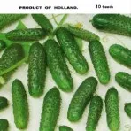 Katalógus uborka magokat (az összes megtekintése osztály) online áruház magvak - agrokontinent