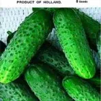 Katalógus uborka magokat (az összes megtekintése osztály) online áruház magvak - agrokontinent
