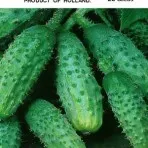 Katalógus uborka magokat (az összes megtekintése osztály) online áruház magvak - agrokontinent