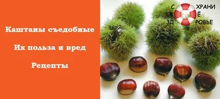 Gesztenye ehető előnyei és hátrányai, megkülönböztetve a nem ehető