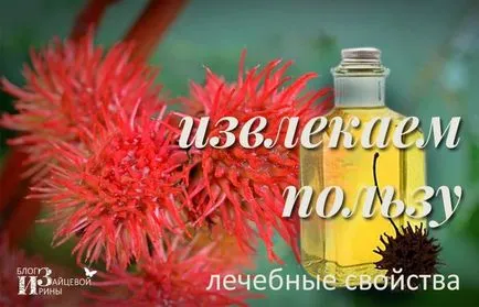 ricinusolaj