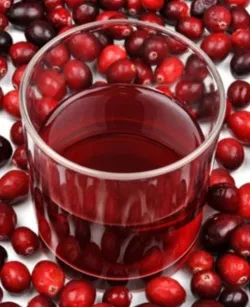 Cranberry - hasznos tulajdonságokat és ellenjavallatok