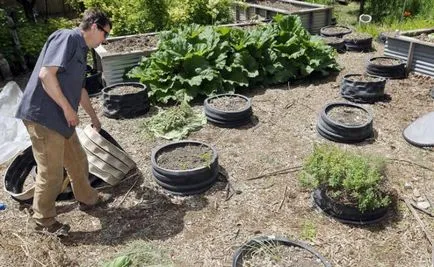 A virágágyás a gumiabroncs a kezét (ágy gumiabroncsok saját kezét a virágágyások a gumiabroncs a kezét, hogy az eredeti ágyak gumiabroncsok kezüket) A virágágyás gumiabroncsok saját kezűleg