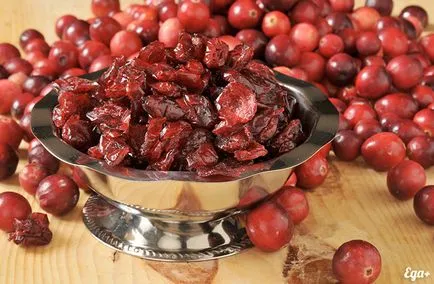 Cranberry - hasznos és káros tulajdonságait áfonya (veszélyes) Cranberry - hasznos és káros tulajdonságait áfonya