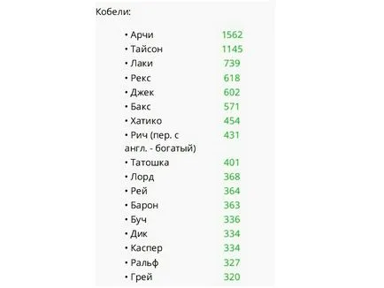 Becenevek kis kutya fiúk