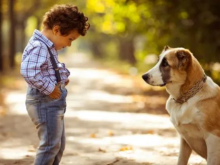 Cynophobia félelem a kutyák, a gyermek félelem kutya, hogyan lehet megszabadulni (félelem) Cynophobia félelem a kutyák, a gyermek félelem kutyák, hogyan lehet megszabadulni
