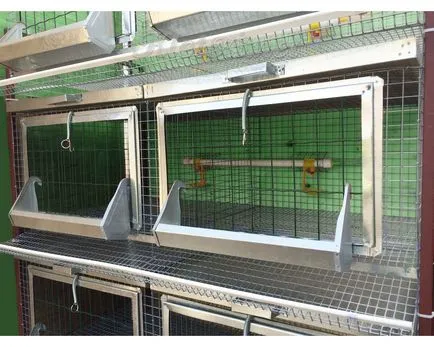 Ketrecek csirkék, tojótyúkok és brojlercsirke rajzok saját kezűleg
