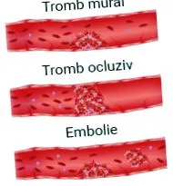 молдова