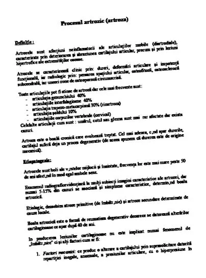 csendes